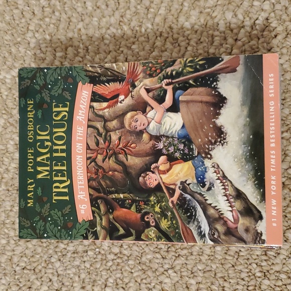 Lot of 12 Magic Tree House Paperback Books (Book 1-12) - Picture 8 of 16